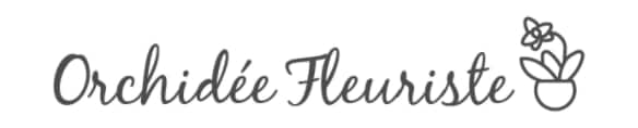Orchidée Fleuriste - Logo